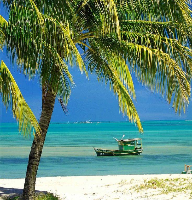 Apartamento Praia Jatiúca Maceio  Bagian luar foto